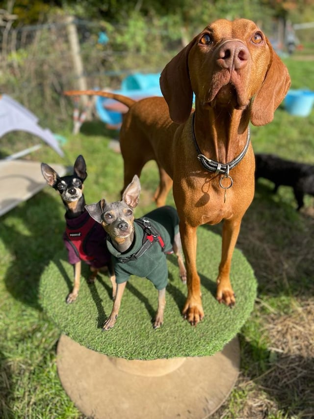 Cheezburger Image 10606652672