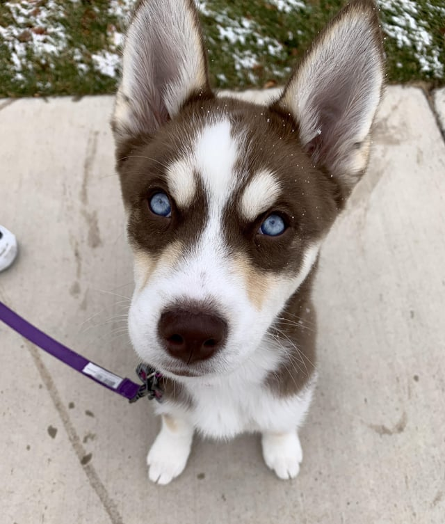 Cheezburger Image 10606653952