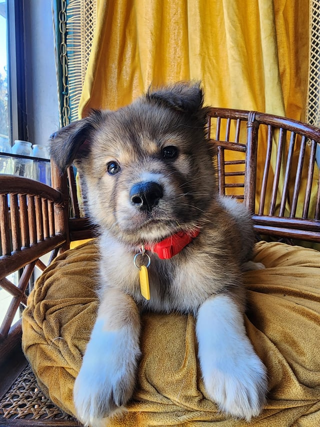 Cheezburger Image 10606655744