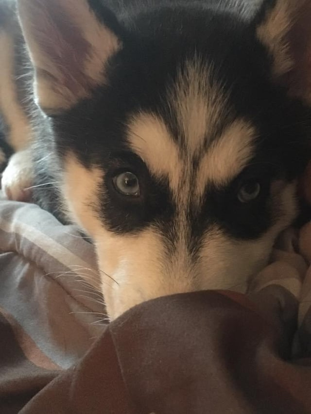 Cheezburger Image 10606656768