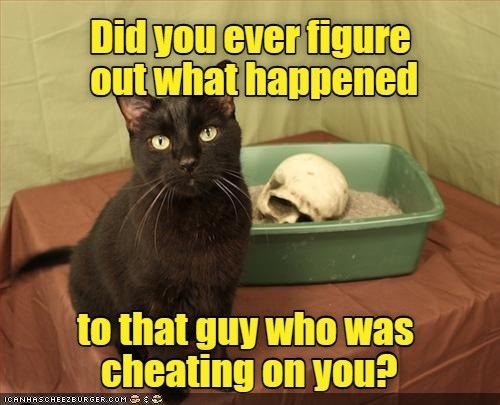 Cheezburger Image 10606752768