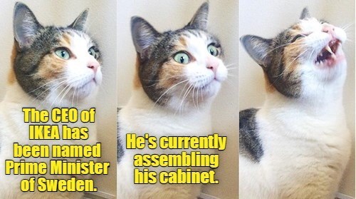 Cheezburger Image 10606753280