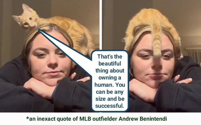 Cheezburger Image 10606771456