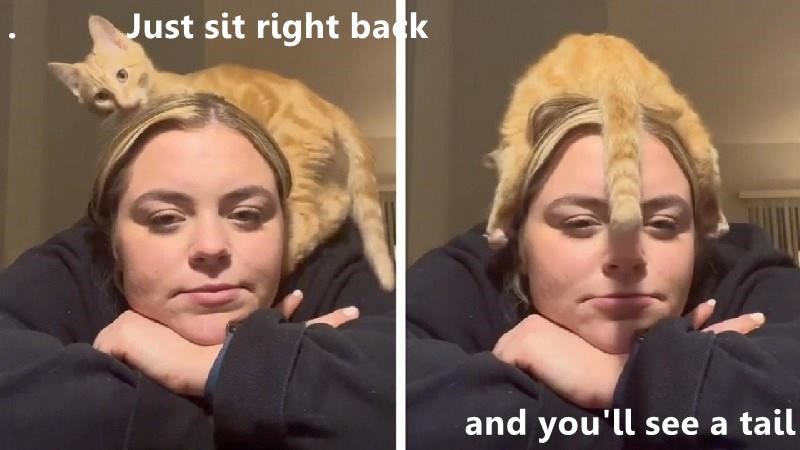 Cheezburger Image 10606771712