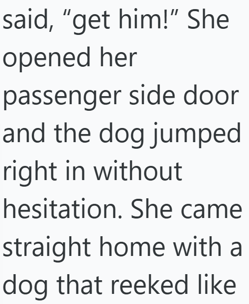said, "get him!" She opened her passenger side door and the dog jumped right in without hesitation. She came straight home with a dog that reeked like