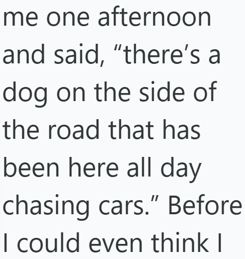 me one afternoon and said, "there's a dog on the side of the road that has been here all day chasing cars." Before I could even think I