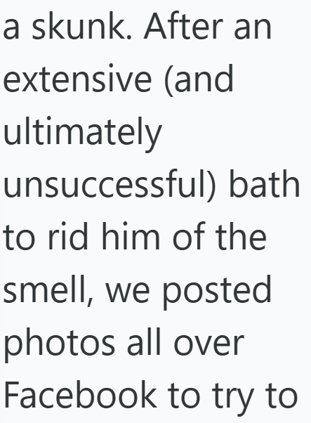a skunk. After an extensive (and ultimately unsuccessful) bath to rid him of the smell, we posted photos all over Facebook to try to