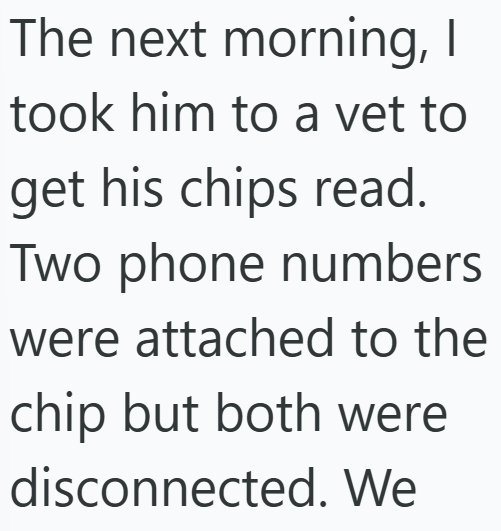 The next morning, I took him to a vet to get his chips read. Two phone numbers were attached to the chip but both were disconnected. We