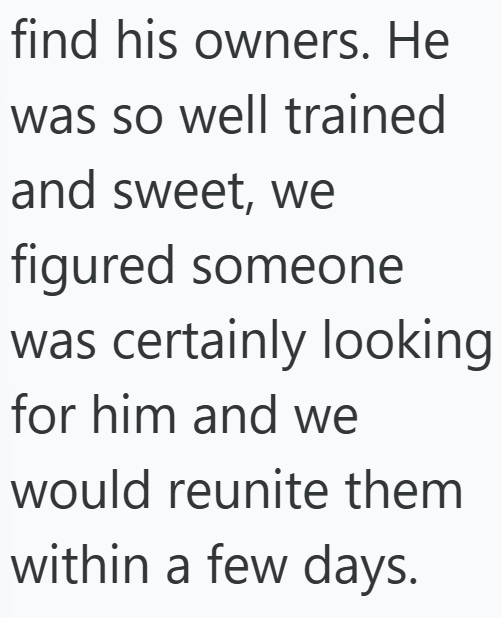 find his owners. He was so well trained and sweet, we figured someone was certainly looking for him and we would reunite them within a few days.