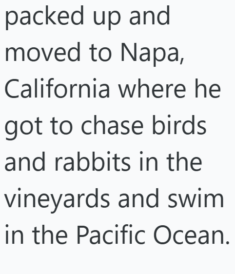 packed up and moved to Napa, California where he got to chase birds and rabbits in the vineyards and swim in the Pacific Ocean.