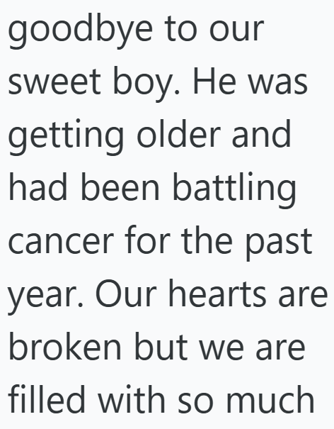 goodbye to our sweet boy. He was getting older and had been battling cancer for the past year. Our hearts are broken but we are filled with so much