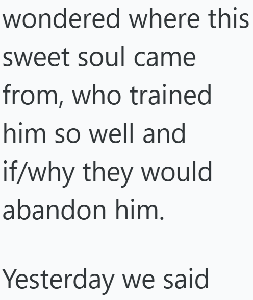 wondered where this sweet soul came from, who trained him so well and if/why they would abandon him. Yesterday we said