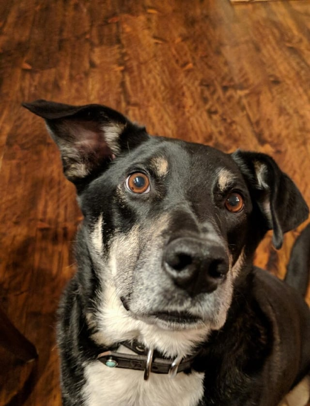 Cheezburger Image 10606778624