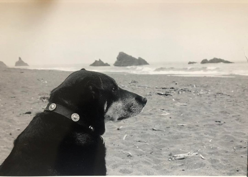 Cheezburger Image 10606778880