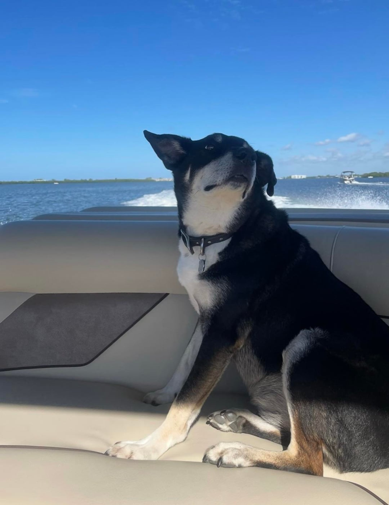 Cheezburger Image 10606779136