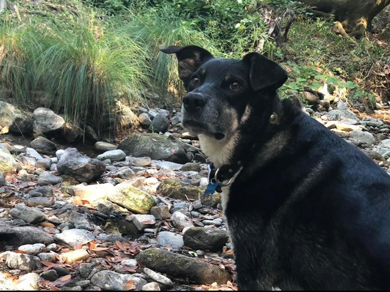 Cheezburger Image 10606779648