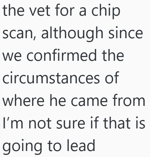 the vet for a chip scan, although since we confirmed the circumstances of where he came from I'm not sure if that is going to lead