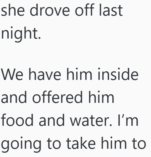 she drove off last night. We have him inside and offered him food and water. I'm going to take him to