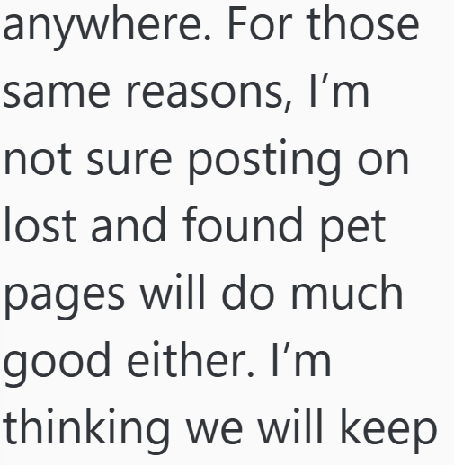 anywhere. For those same reasons, I'm not sure posting on lost and found pet pages will do much good either. I'm thinking we will keep