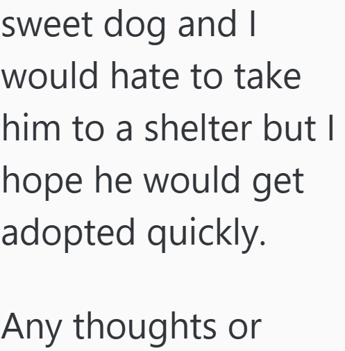 sweet dog and I would hate to take him to a shelter but I hope he would get adopted quickly. Any thoughts or