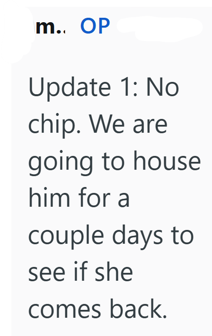 m.. OP Update 1: No chip. We are going to house him for a couple days to see if she comes back.