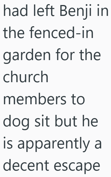 had left Benji in the fenced-in garden for the church members to dog sit but he is apparently a decent escape