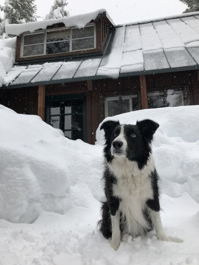 Cheezburger Image 10606787328