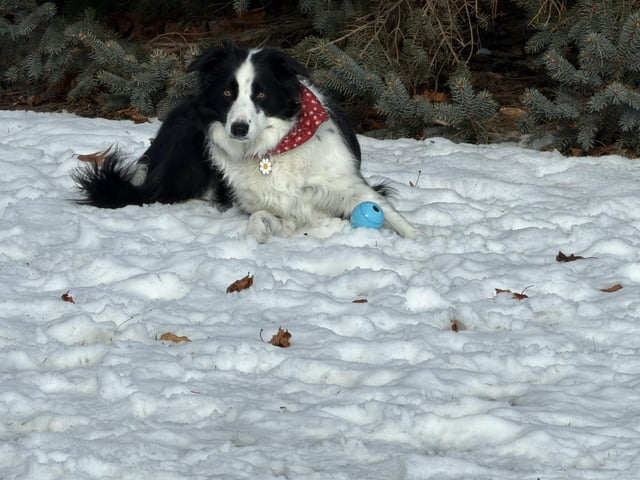 Cheezburger Image 10606788864