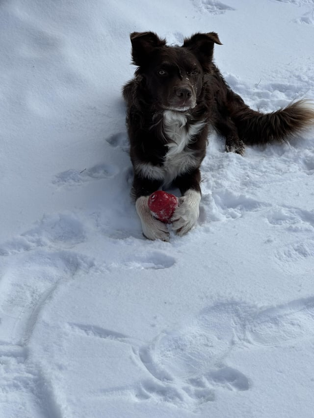 Cheezburger Image 10606789376