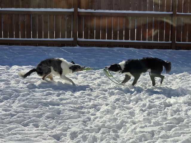 Cheezburger Image 10606789888