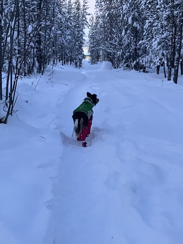 Cheezburger Image 10606790400