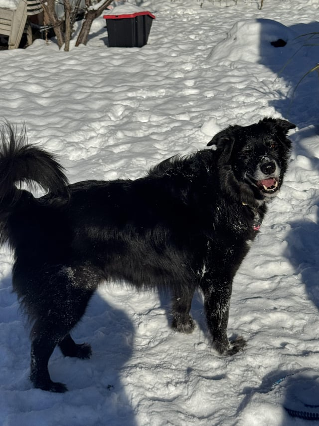 Cheezburger Image 10606790656