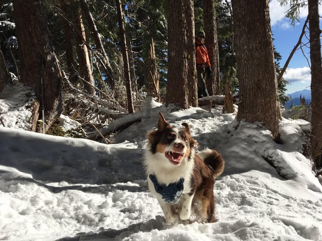 Cheezburger Image 10606790912