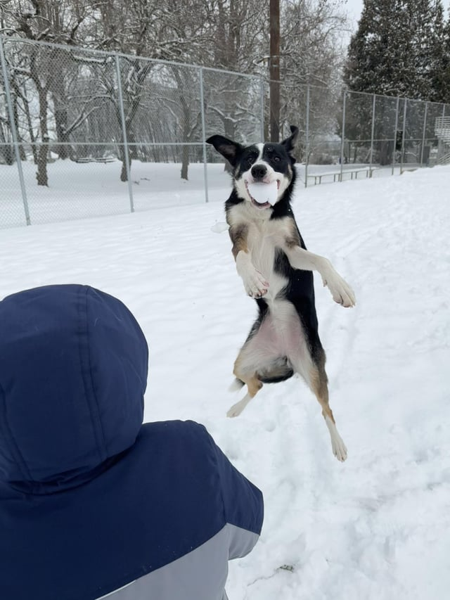 Cheezburger Image 10606791424