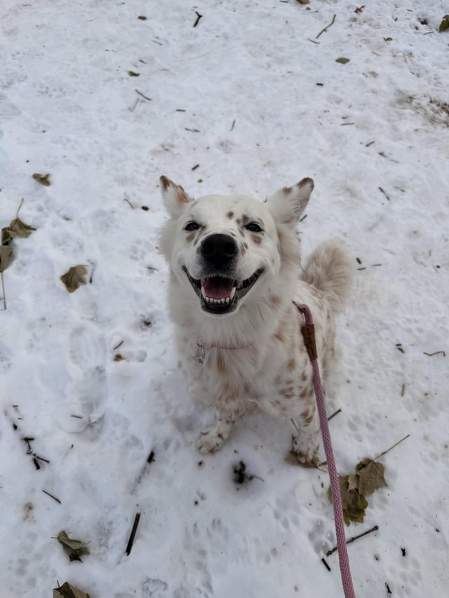 Cheezburger Image 10606791936