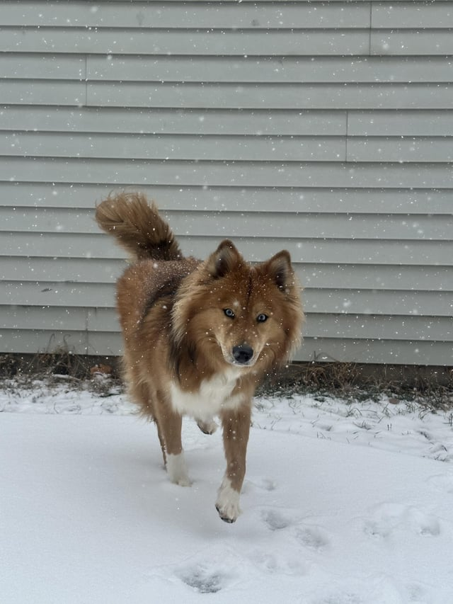 Cheezburger Image 10606792448