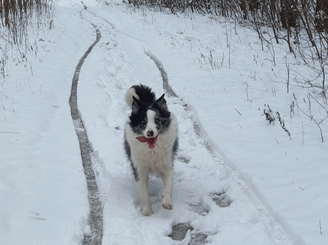 Cheezburger Image 10606792704