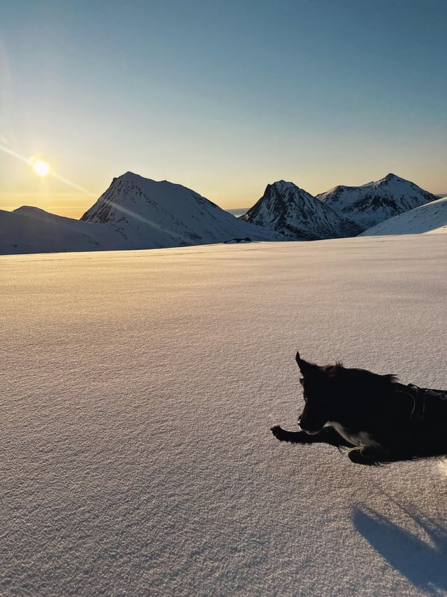 Cheezburger Image 10606792960