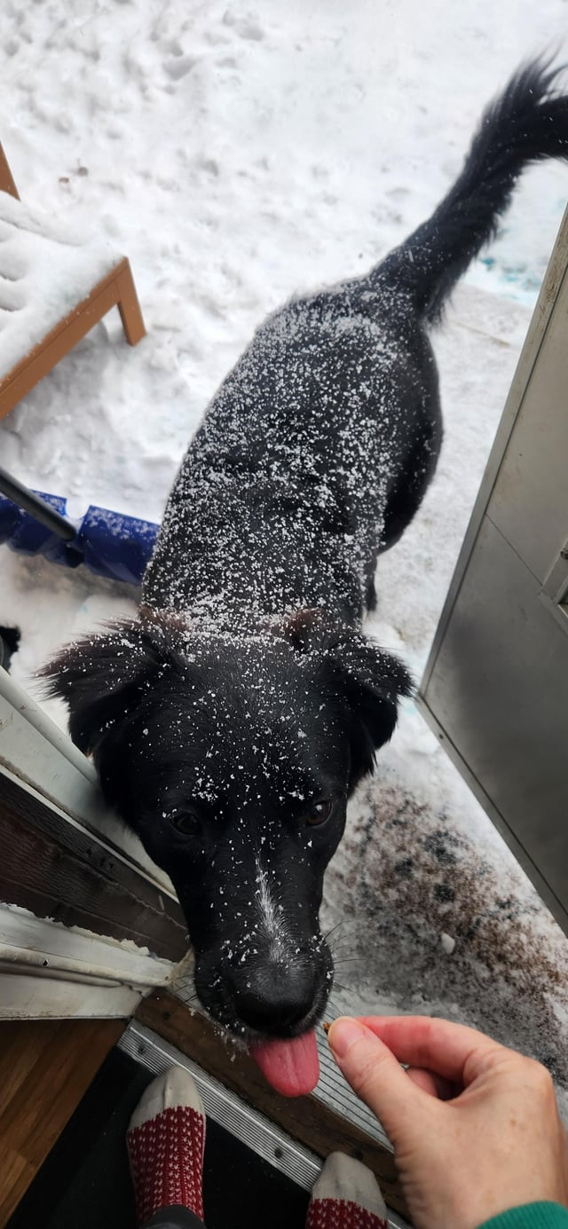 Cheezburger Image 10606793472