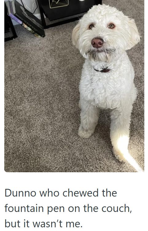 LOUVRE DORSAY Dunno who chewed the fountain pen on the couch, but it wasn't me.