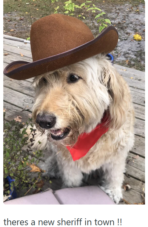 theres a new sheriff in town!!