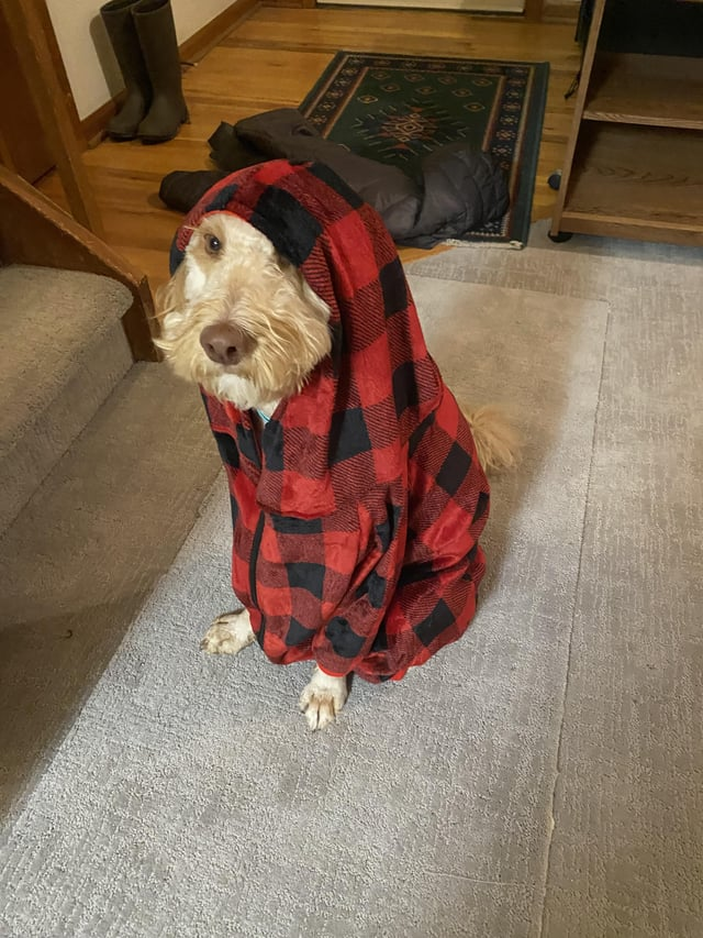 Cheezburger Image 10606797056