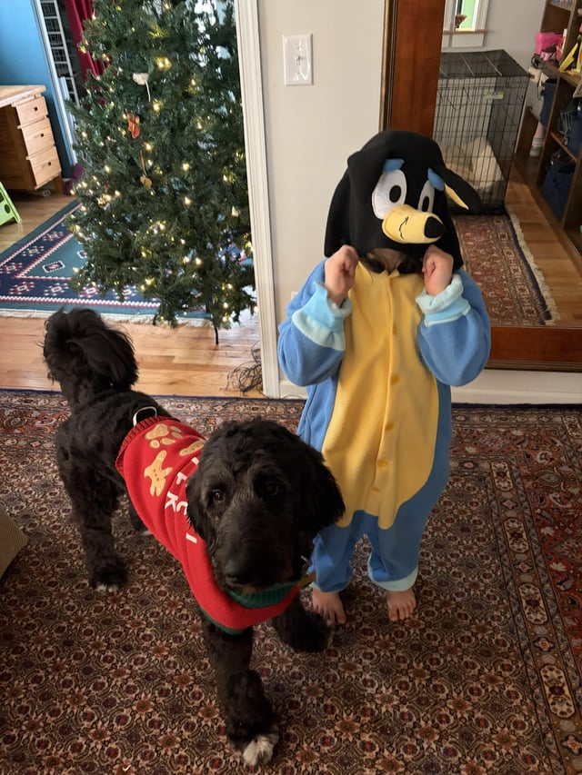 Cheezburger Image 10606797312