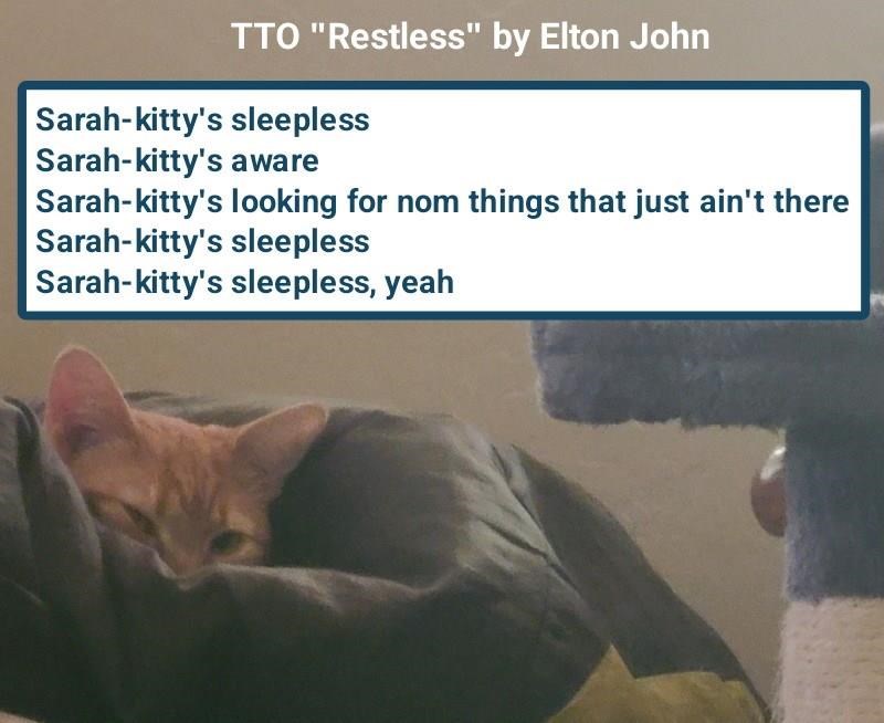 Cheezburger Image 10606807296