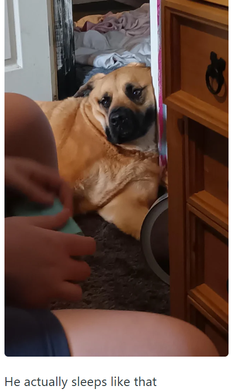 He actually sleeps like that