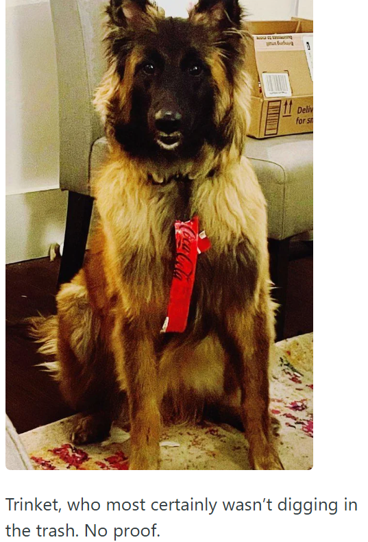 Coca-Cola Deliv for s Trinket, who most certainly wasn't digging in the trash. No proof.