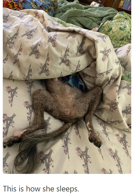 137 This is how she sleeps.