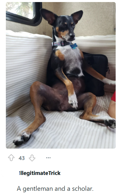 43 Illegitimate Trick A gentleman and a scholar.