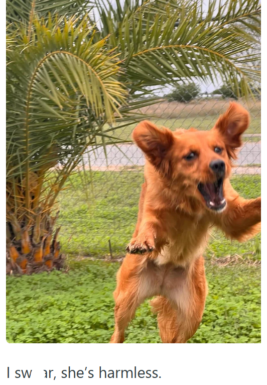 I sw ar, she's harmless.