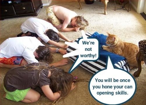 Cheezburger Image 10606813696